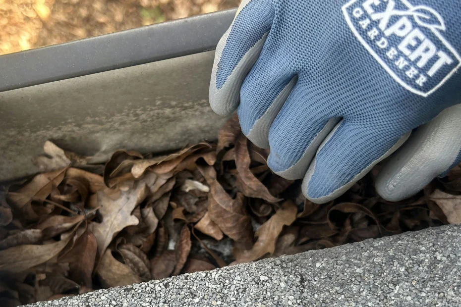 Gutter Cleaning Pasadena, TX