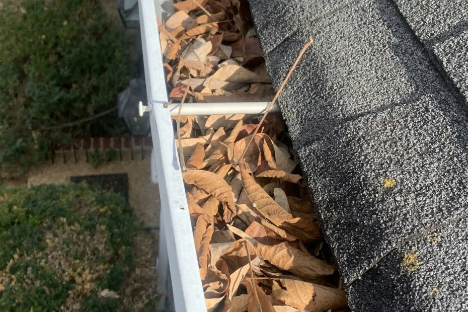 Gutter Cleaning Pasadena, TX