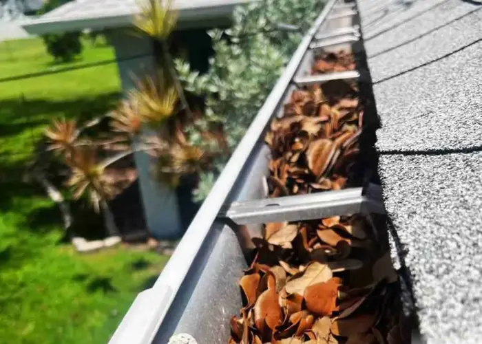 Gutter Cleaning Pasadena, Tx home page